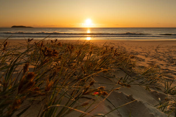 istock Sunrise over Dunes, Port Stephens 2182398209