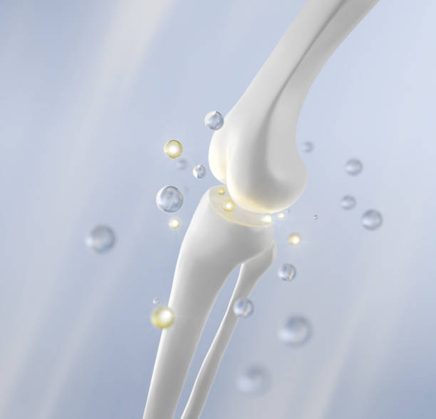 istock healthy bone human with vitamin or Calcium. 2182398502