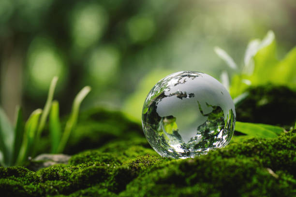 istock Environment and conservation.crystal globe resting on moss in a forest idea for protecting nature save and care world for sustainability. Earth Day.Sustainable development goal. Green Business and ESG 2182398883