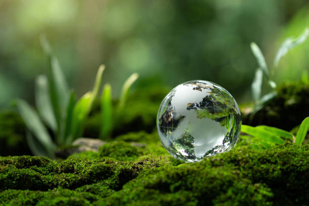istock Environment and conservation.crystal globe resting on moss in a forest idea for protecting nature save and care world for sustainability. Earth Day.Sustainable development goal. Green Business and ESG 2182399388