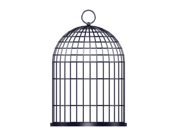 3d illustration. Metal birdcage isolated on white background.