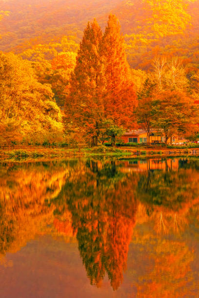 istock beautiful autumn lake 2182407131
