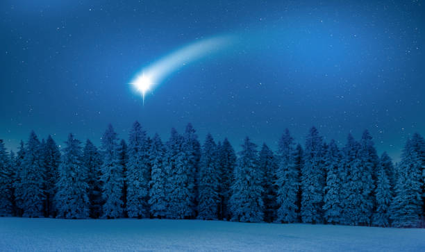 Winter forest with shooting star in the sky