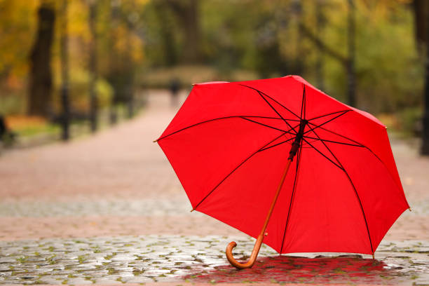 Vibrant red umbrella glistening with raindrops under bright sunlight creates striking contrast between wet and dry, highlighting texture and evoking a sense of protection