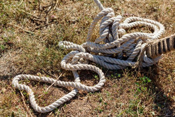 Free Stock Photo of Tangled pile of white ropes on ground | Download ...