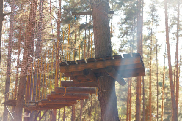 istock A wooden bridge is suspended over a forest 2182416422