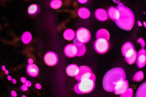 istock Keyakizaka Christmas illuminations, bokeh 2182417278