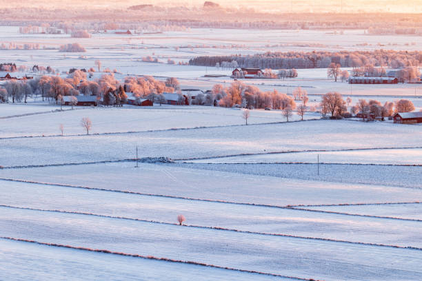istock Snowy landscape with farms and fields in sunset 2182423169