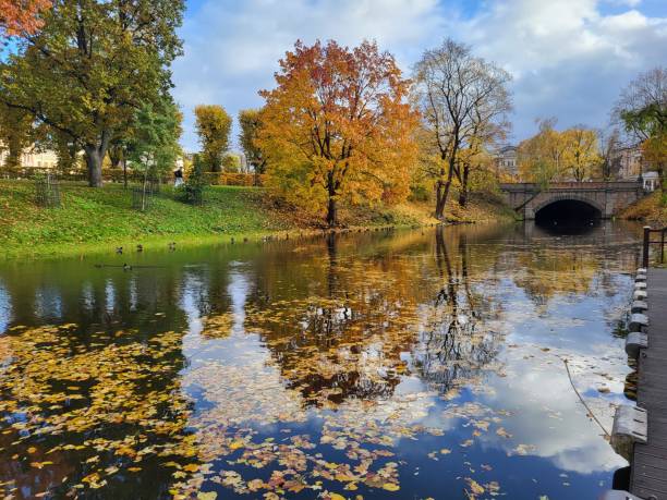 istock Riga in autumn covered by yellow leaves 2182423243