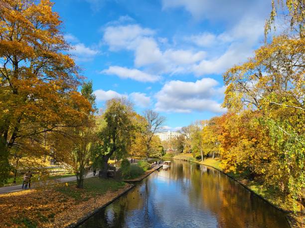 istock Riga in the autumn with bright yellow trees 2182423877