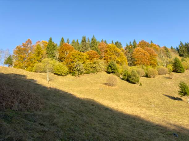Beautiful autumn landscape in Romania. Rural scene