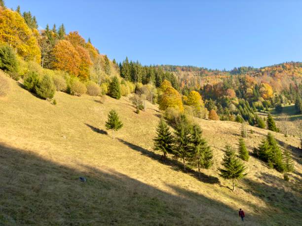 Beautiful autumn landscape in Romania. Rural scene