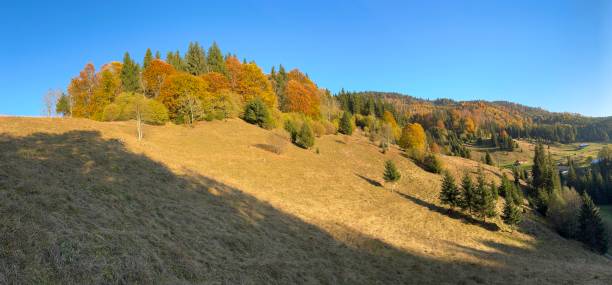 Beautiful autumn landscape in Romania. Rural scene