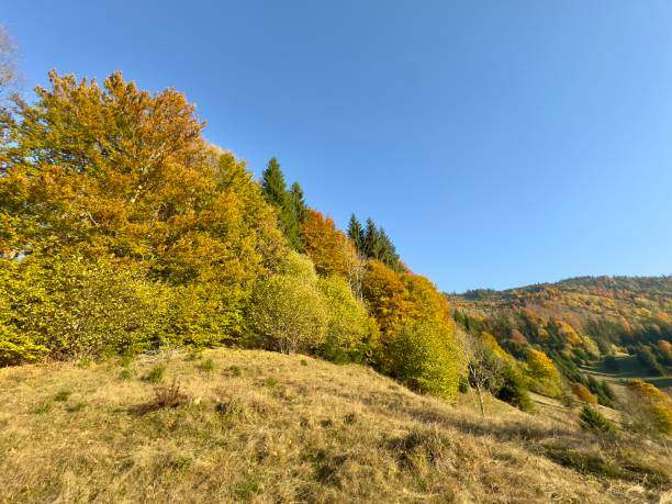 istock Beautiful autumn colors 2182427320