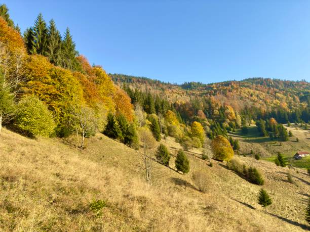 Beautiful autumn landscape in Romania. Rural scene