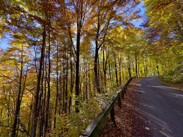 istock Beautiful autumn colors 2182428399