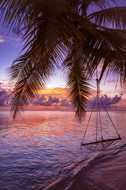 istock Tropical paradise beach with dramatic sky and colorfull clouds during the sunset 2182430048