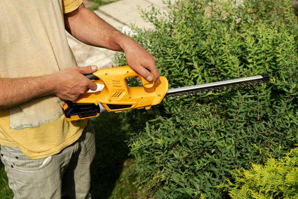 istock Gardener hands with hedge trimmer. Cutting bushes in backyard. 2182432294