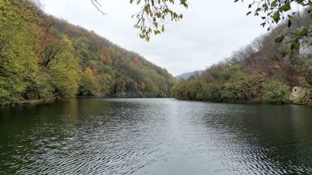 istock A tranquil lake surrounded by dense autumn-colored forests 2182436433