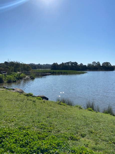 istock Lilydale lake sunny day 2182437162