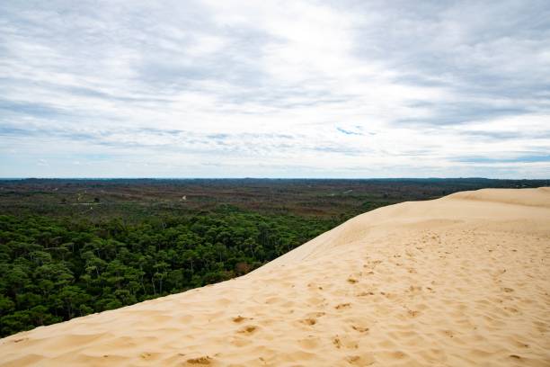 istock Dune du Pilat, view of the forest 2182442592