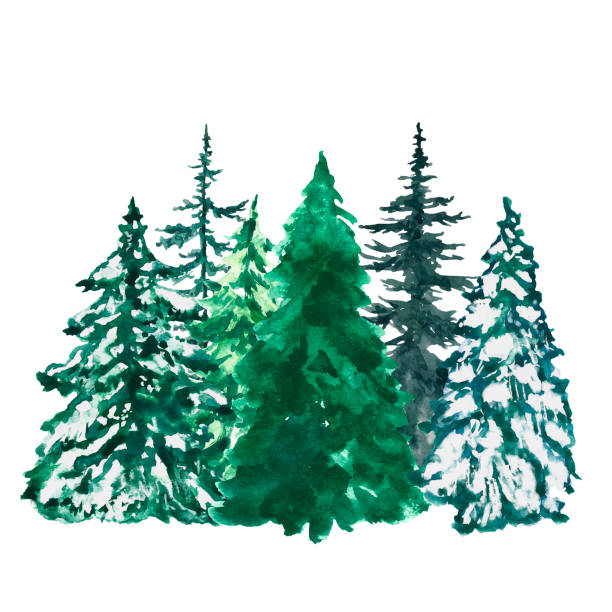 istock Watercolor winter evegreen pine trees border, isolated on white background. Hand painted spruce forest illustration. Landscape scene for Christmas cards, banners. Holiday design. 2182445023