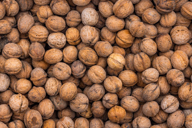 istock pile of unpeeled walnuts, full-frame texture and background 2182449770
