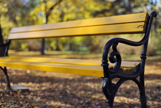 Yellow bench in the park