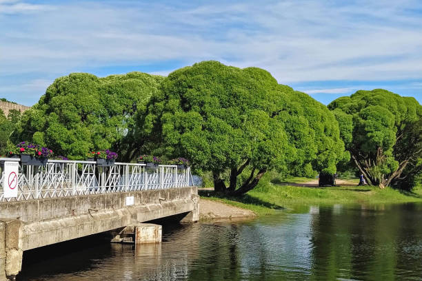istock Bridge with Flowers and Green Trees by the River 2182452445