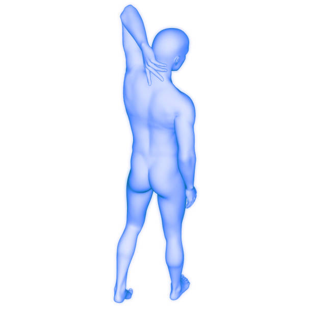 3D Illustration Concept of Human Body Suffering with Backpain Anatomy