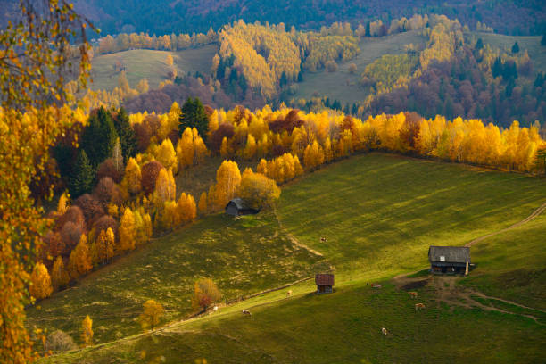 istock Autumn in Transylvania 2182454331