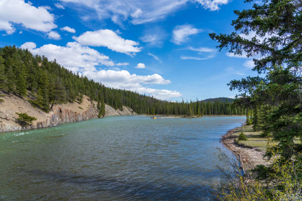 istock Jasper National Park landscape background. Athabasca River in summer. Alberta, Canada. 2182457308