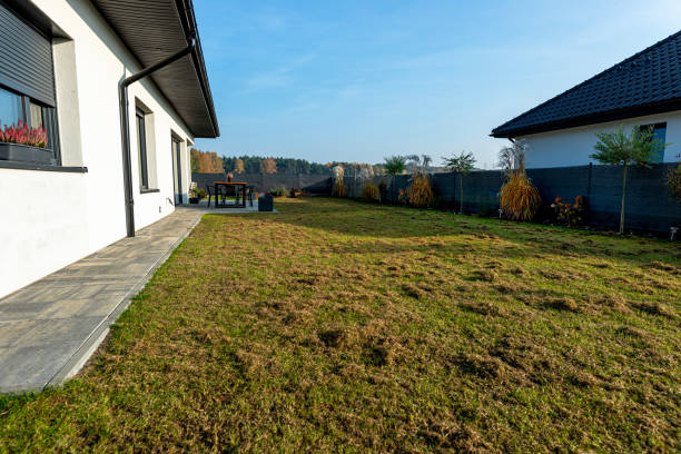 istock Scarifying the lawn before the winter season using an electric scarifier. 2182457986