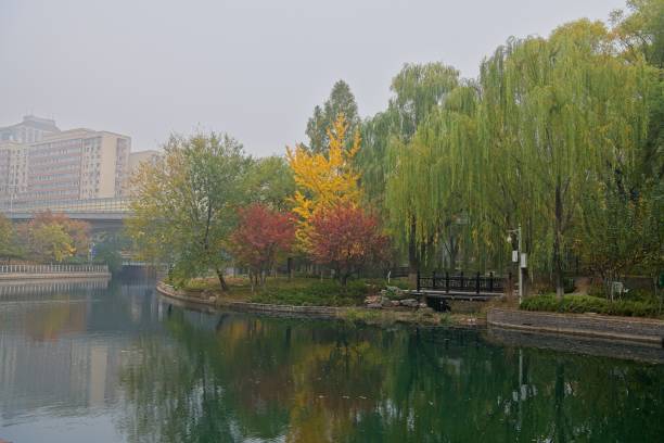 istock Smoggy autumn day 2182458079