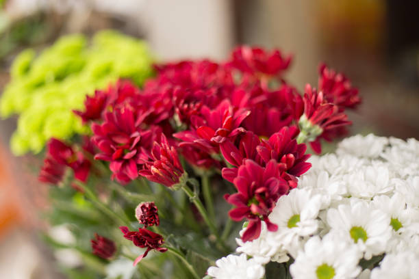 A bouquet of chrysanthemums. Multi-colored bouquet of flowers.