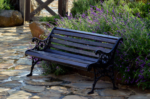 istock Serene Garden Bench Surrounded by Vibrant Purple Flowers 2182460711