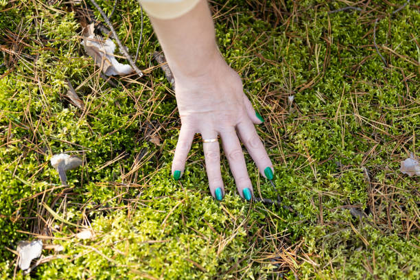 A woman's hand touching green moss in the forest. Relaxation in nature.