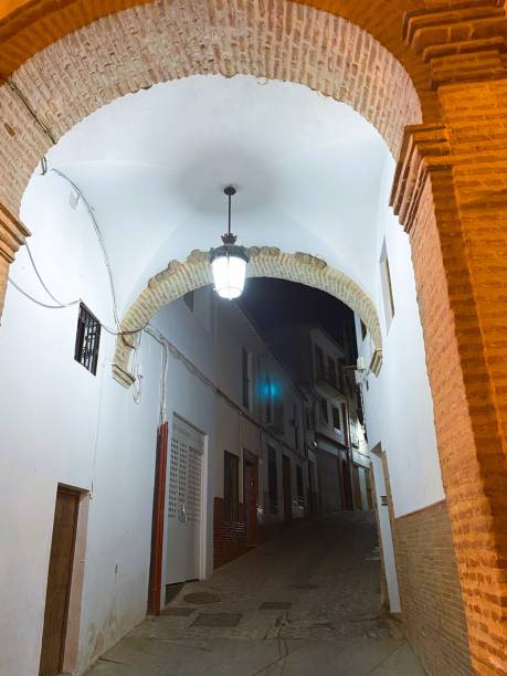 istock Swallow nests clustered above an arch in Archidona, Spain 2182469191