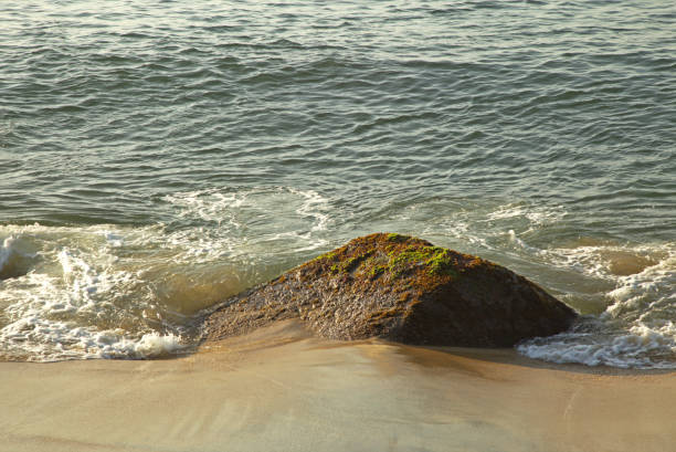 istock Beach wet sand and a solitaire rock 2182471035