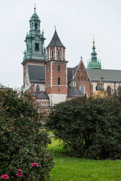 istock Wawel Cathedral in Krakow 2182473374