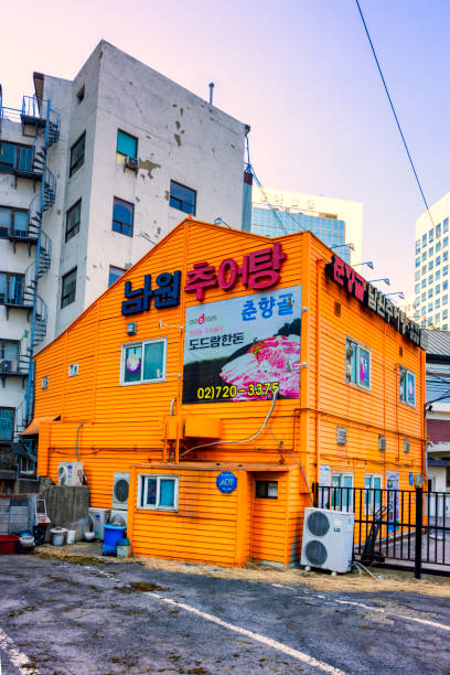 Seoul, South Korea - March 4th 2024: vibrant yellow-orange exterior of a Korean restaurant (specializing in chueotang , a traditional Korean soup made from mudfish) featuring bold signage and outdoor air conditioning units. The structure is adjacent to an older, more worn building, showcasing the contrast of urban architecture in Seouls bustling streets.