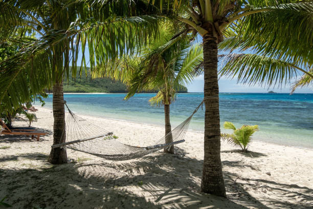 A hammock nestled between two coconut trees on a shaded beach of a tropical island. Beyond the hammock, the clear blue water stretches out, revealing hints of a coral reef