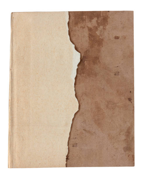 istock Vintage background of old ancient torn paper texture isolated 2182484149