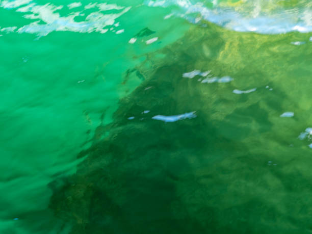 istock View of the Pearl Harbour memorial 2182485613