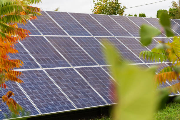 istock Solar panels are arranged efficiently in a green environment, harnessing sunlight for energy while surrounded by colorful trees under clear skies 2182489711