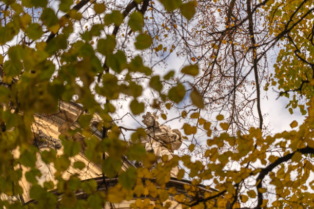 View on Lviv through autumn leaves wallpaper