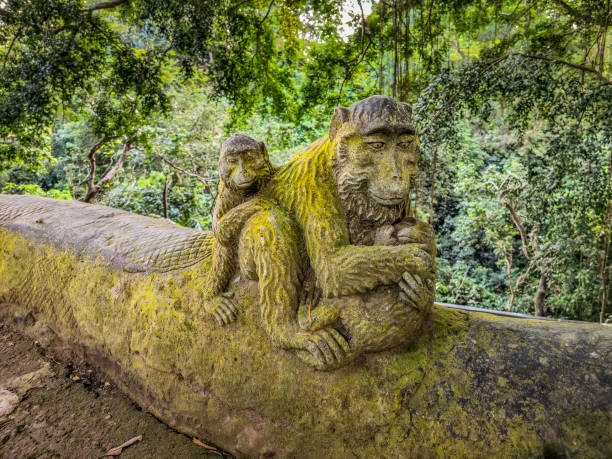 istock Landscape in the Monkey Forest in Bali, Indonesia 2182501519