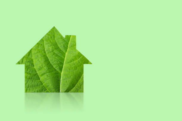 istock House is made of green leaf 2182501748
