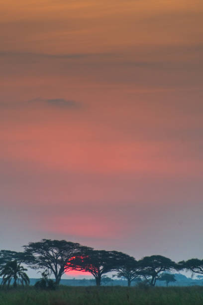 Telephoto of a sunrise over the Serengeti, Tanzania