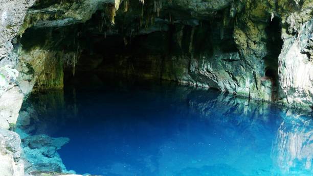 istock Chelentun Cenote, Cuzam , Yucatan, Mexico 2182513062